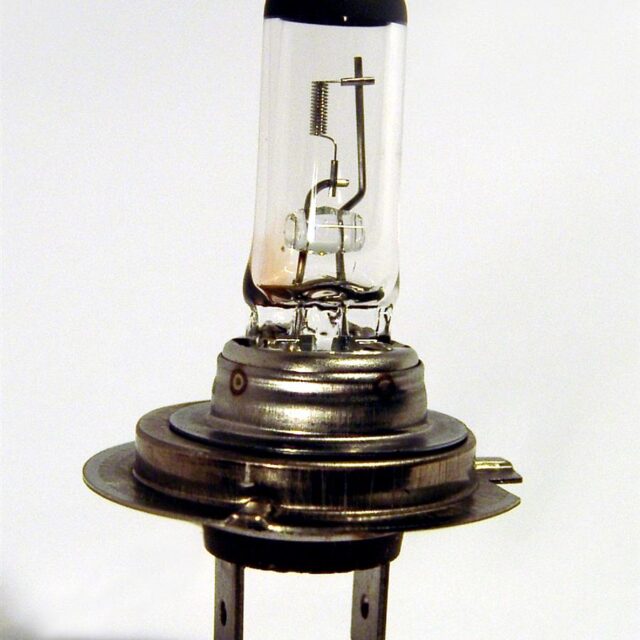 Bulbs category image